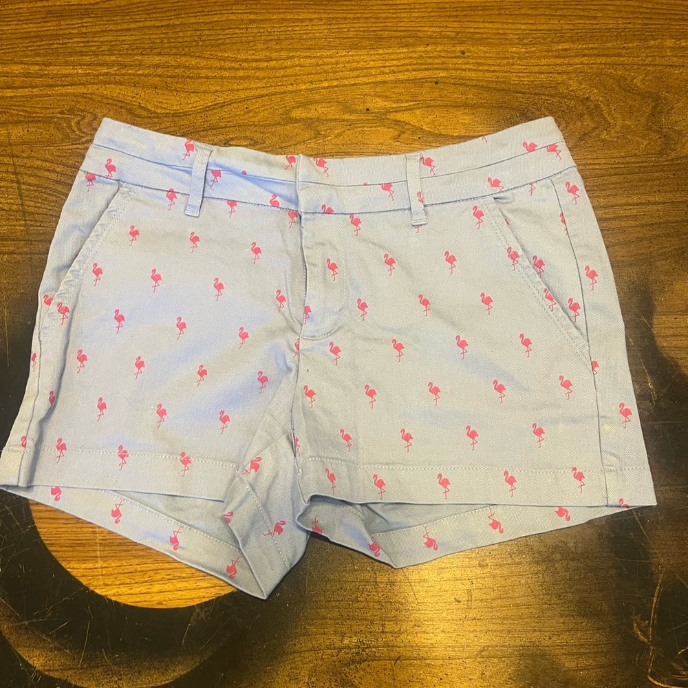 Blue Rain Flamingo Print Women's Shorts